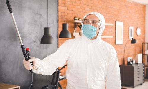 A person disinfecting a house